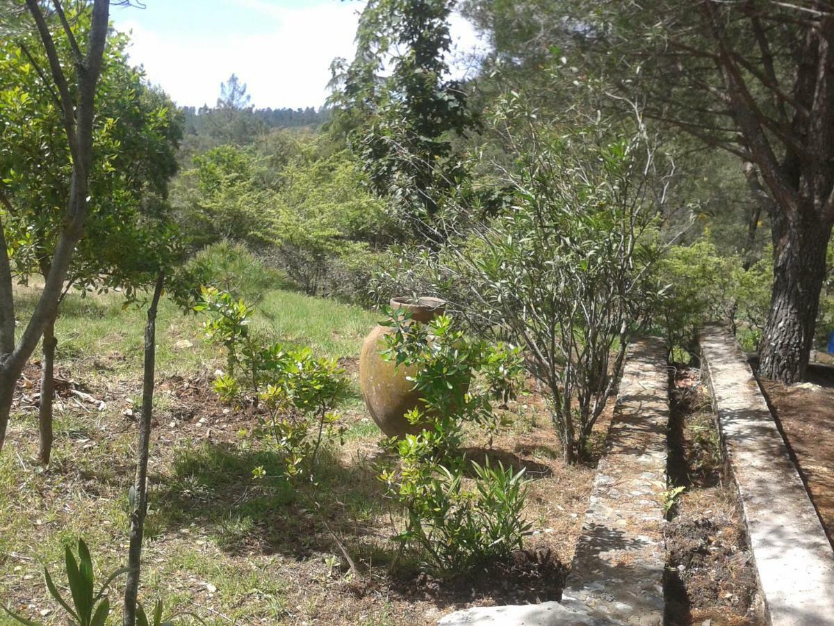 Quinta Das Lameirinhas Marvão エクステリア 写真