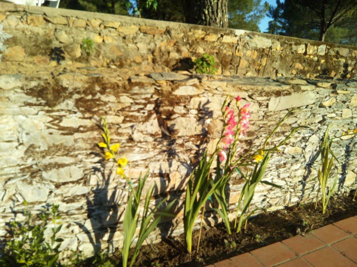 Quinta Das Lameirinhas Marvão エクステリア 写真